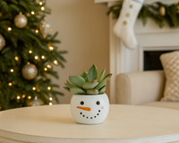 Tiny Tot Snowman with 2-inch Succulent