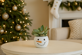 Tiny Tot Snowman with 2-inch Succulent