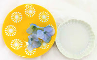 Kizuna Lifestyle "Shunkou" (The Spring Bright) Box (FREE Shipping Worldwide!)