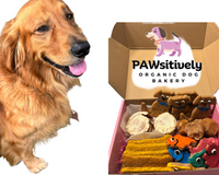 Golden Retriever with handmade organic dog treat subscription box