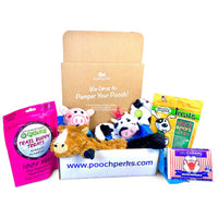 Popular Pooch Dog Box