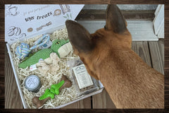 Box includes:
One full size bag dog treats,
One Chew Toy
One Plush/Rope/Ball
One themed gift for the human 
