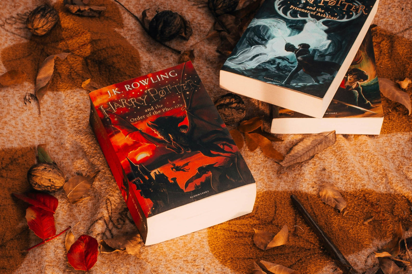 A person holding an open hardcover book with red edges, showcasing a cozy reading moment for book lovers with the Fantasy Books Club subscription