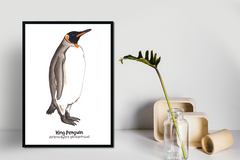 Beautiful Nature Sketch Crate watercolor and ink King Penguin framed in a black frame next to a potted plant.