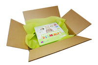 BrainStorm STEM Kit Subscription