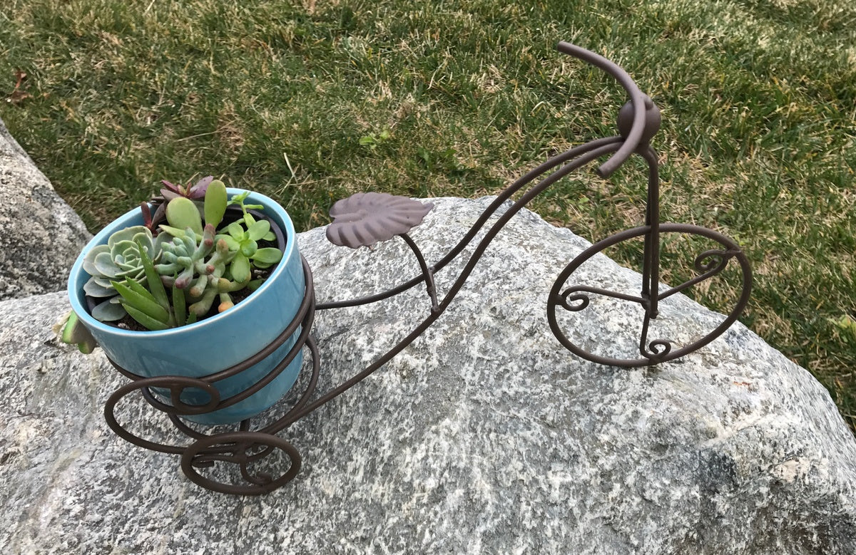 Succulent Bike