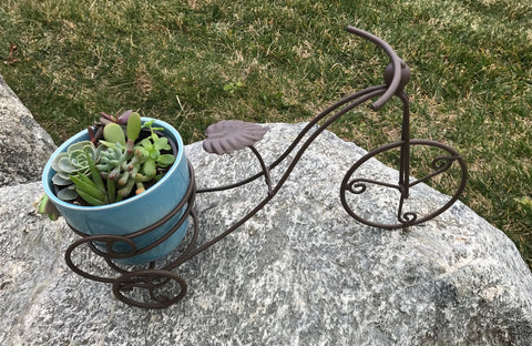 Succulent Bike