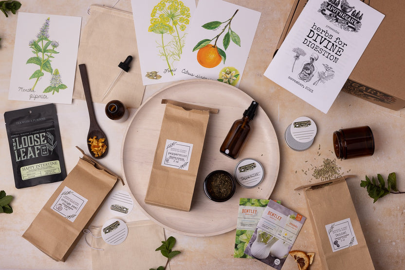 Herbal Apprentice Box