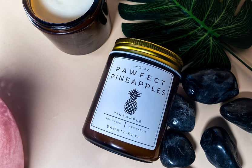 Fun Cat and Dog Candle Subscription Box - Bahati Pets Candle Of The Month For Pet Lovers