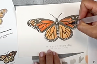 In process step-by-step painting of a Monarch butterfly Nature Sketch Crate lesson with a peak of the printed step-by-step lesson.