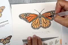 In process step-by-step painting of a Monarch butterfly Nature Sketch Crate lesson with a peak of the printed step-by-step lesson.