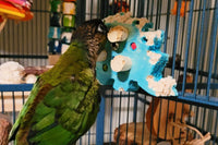 A Green cheek conure chewing on a bird toy showing bite marks. Both are in a cage; the bars make up most of the background. 