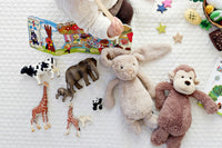 Monthly Baby Sensory Surprise