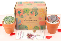 Succulent Subscription Box Delivered Monthly, Unique Succulent Gift Ideas for Any Occasion, Best Valentine's Day Gifts for Kids/ Her/ Him