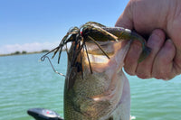 Hard to find Skirted Bladed Grass Jig