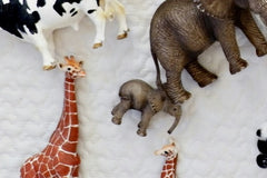 Monthly Baby Sensory Surprise