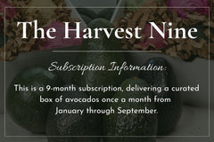 The Harvest Nine - Locally Delivered, See Details