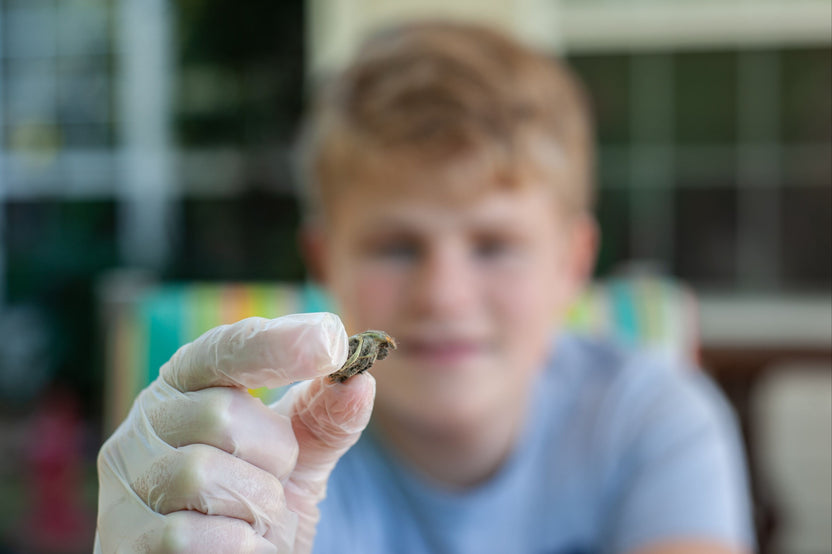 The Creature Crew Subscription Box for more than one child