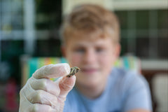 The Creature Crew Subscription Box for more than one child