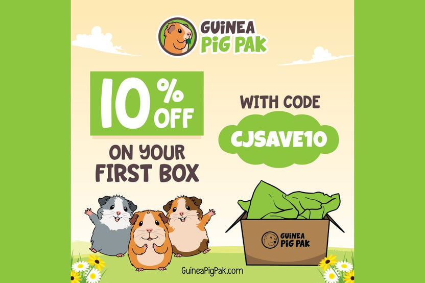 Guinea Pig Pak 10% off promotion with code CJSAVE10, featuring the August Barnyard box, red barn hideout, and cartoon guinea pig.