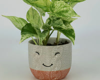 *NEW* KIDS GARDENING CLUB by My Garden Box