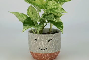 *NEW* KIDS GARDENING CLUB by My Garden Box