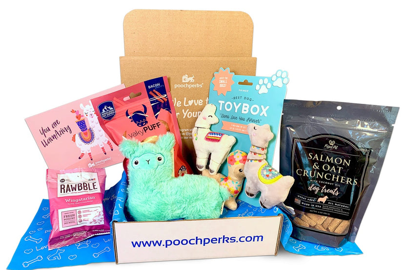 Popular Pooch Dog Box