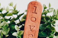 Garden Lovers Box