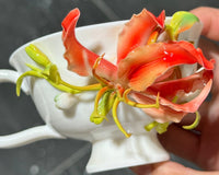 Dreamcloud Modern Floral Ceramic Tea and Coffee Set