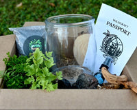 A front facing view of the mystery diy box. Showing plants, glass container, soil, rocks, mister and paperwork in an open box.