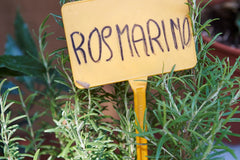 Arrosto Lento