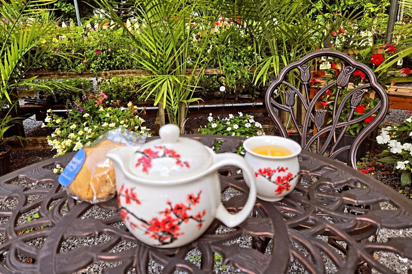 Flower Garden A vibrant, ever-changing garden bursting with seasonal color, fragrance, and natural beauty.