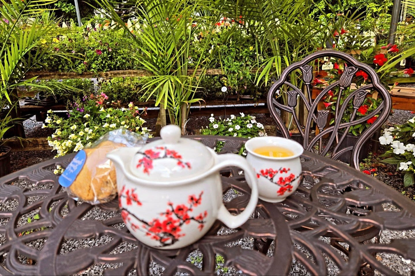 Flower Garden A vibrant, ever-changing garden bursting with seasonal color, fragrance, and natural beauty.
