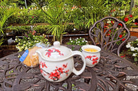 Flower Garden A vibrant, ever-changing garden bursting with seasonal color, fragrance, and natural beauty.