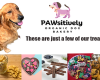 Golden Retriever next to open organic gourmet dog treat box