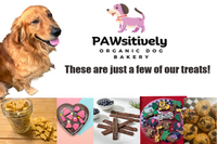 Finn the Golden Retriever with a monthly box of handmade organic dog treats, including donuts, muffins, cookies, and training treats. (