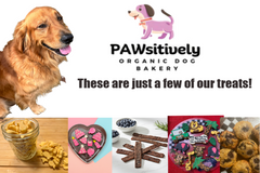 Finn the Golden Retriever with a monthly box of handmade organic dog treats, including donuts, muffins, cookies, and training treats. (