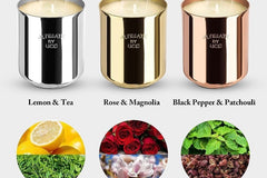 3-Piece Scented Coconut Soy Candle Set - Lemon, Magnolia & Patchouli | 4oz Eco-Friendly Aromatherapy