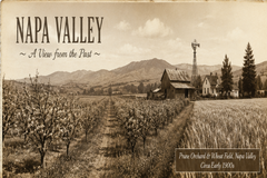 September’s collectible postcard features a historic Napa Valley scene, with local history on the back exploring the valley before vineyards