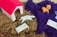 Paws & Play Sensory Box Pet Themed Activities for Kids