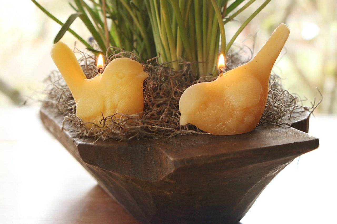 Nature's soy, bee's wax candle with the best scents for your monthly enjoyment. Purchase a 6 -12 month subscription.