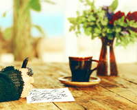 The SoulFire Collection — Collector’s Edition