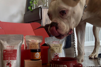 Thanksgiving Oink Oink Gobble Gobble Box