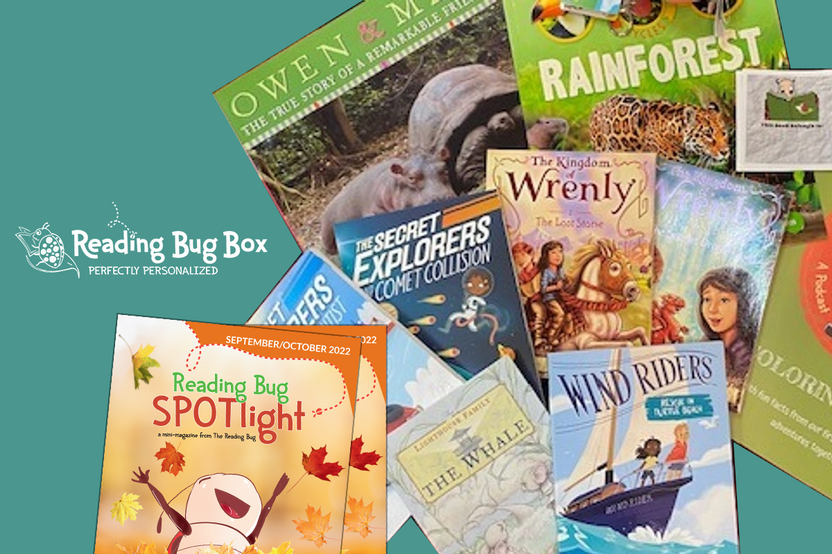 Reading Bug Box (for 2 Children)