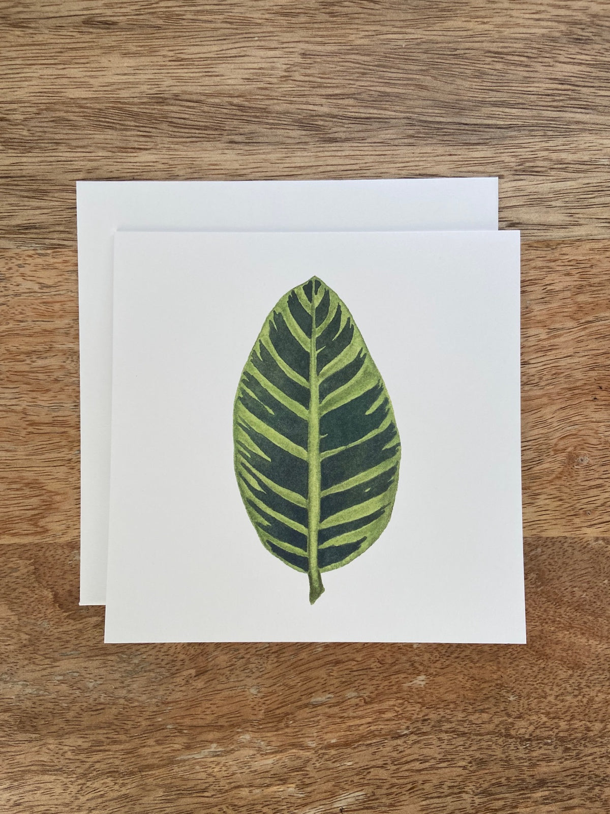 Zebra Plant Any Occasion Card
