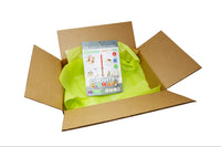 BrainStorm STEM Kit Subscription