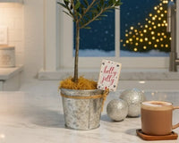 Olive Topiary Tree in Silver Metal Tin with Rope