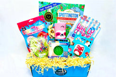 Paint by Sticker, Lollipopter, Crazy Aaron's Ghostwriters Thinking Putty, Fuzzy Ball Needoh, Twiddler, XL Pin Print, Flow Go