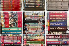 This photo shows examples of different types of manga. Not all manga in the photo is available for the box, but this is a sample.