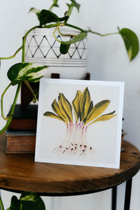 Leeks Any Occasion Card